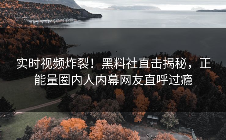 实时视频炸裂！黑料社直击揭秘，正能量圈内人内幕网友直呼过瘾
