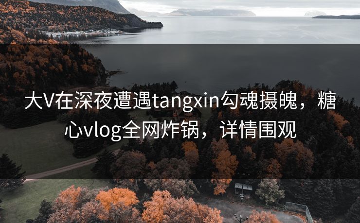 大V在深夜遭遇tangxin勾魂摄魄，糖心vlog全网炸锅，详情围观